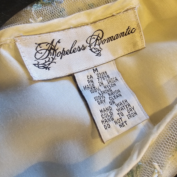 Hopeless Romantic Vintage Dress with Sheer overlay sz M - Picture 6 of 13